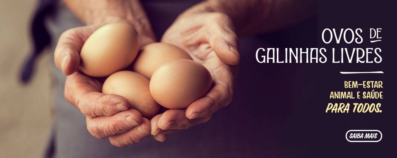 Ovos de Galinhas Livres: um Mundo de Benefícios